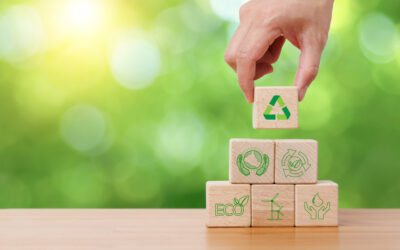 Tendances 2026 : le couscous éco-responsable et durable